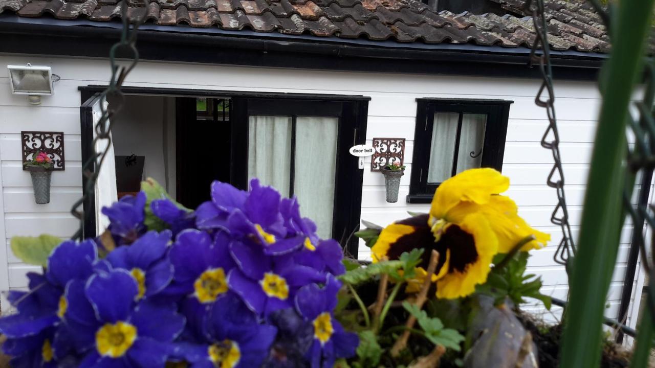 霍尼顿Rose Farm住宿加早餐旅馆 外观 照片