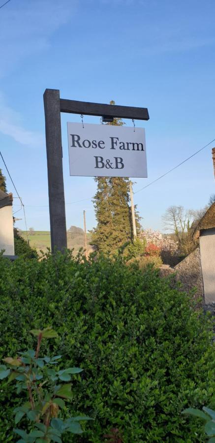 霍尼顿Rose Farm住宿加早餐旅馆 外观 照片
