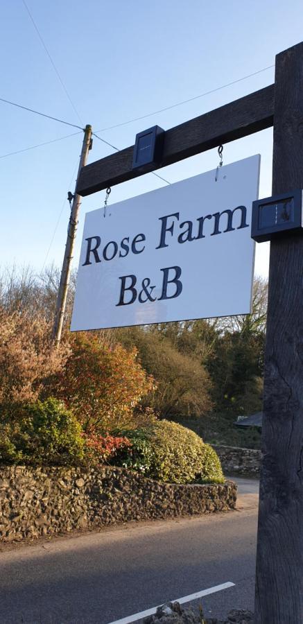 霍尼顿Rose Farm住宿加早餐旅馆 外观 照片