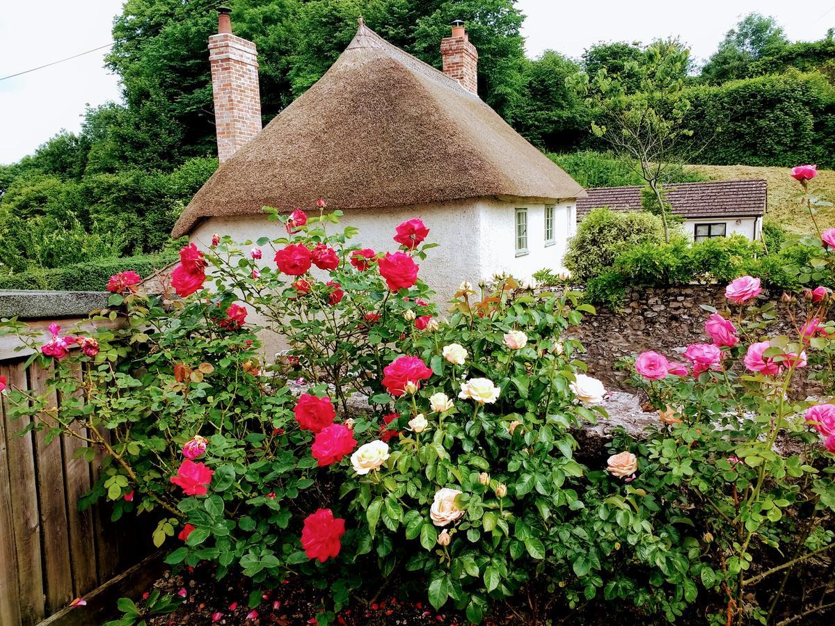霍尼顿Rose Farm住宿加早餐旅馆 外观 照片